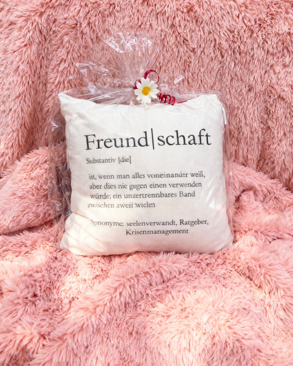 Dekokissen Freundschaft