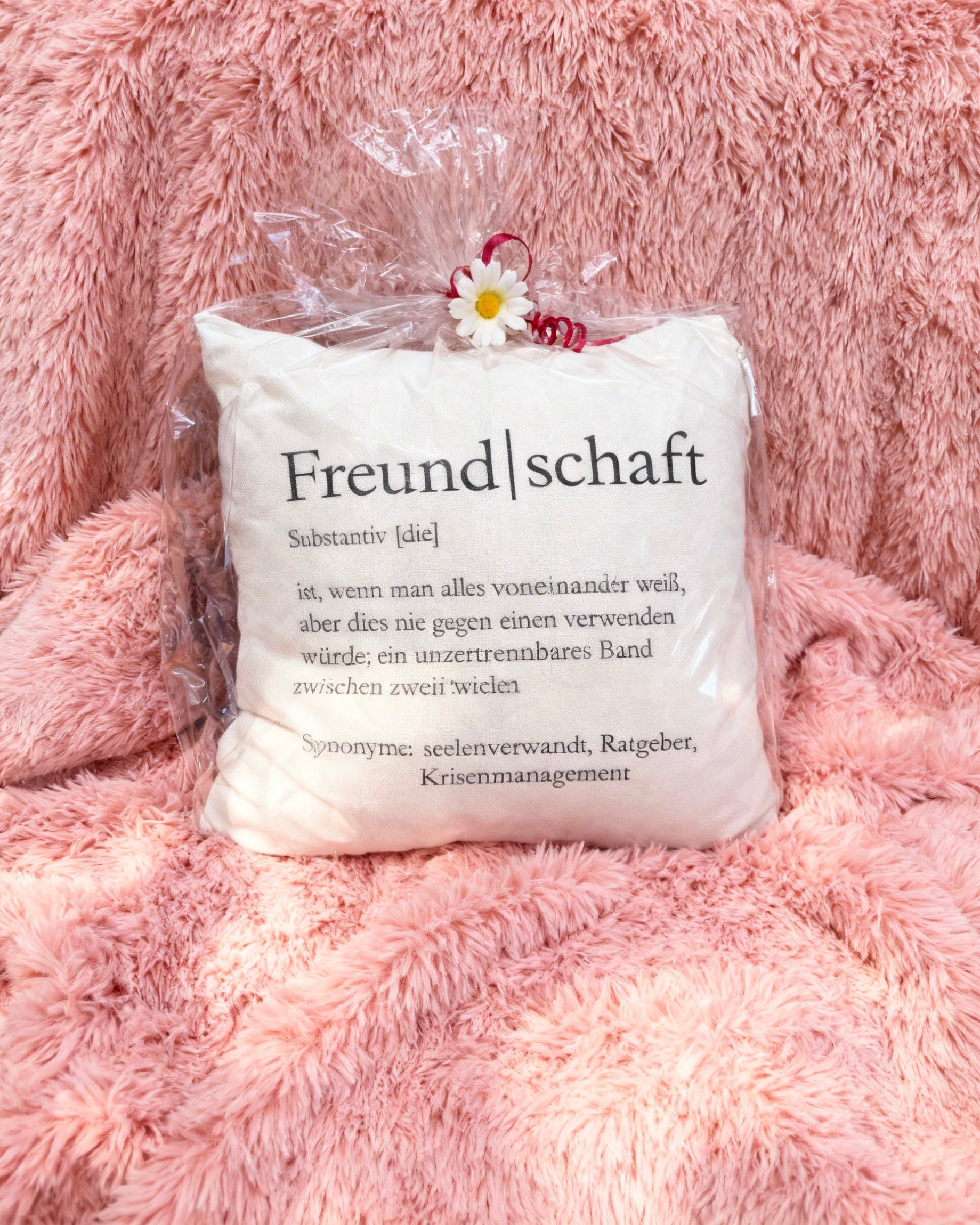 Dekokissen Freundschaft