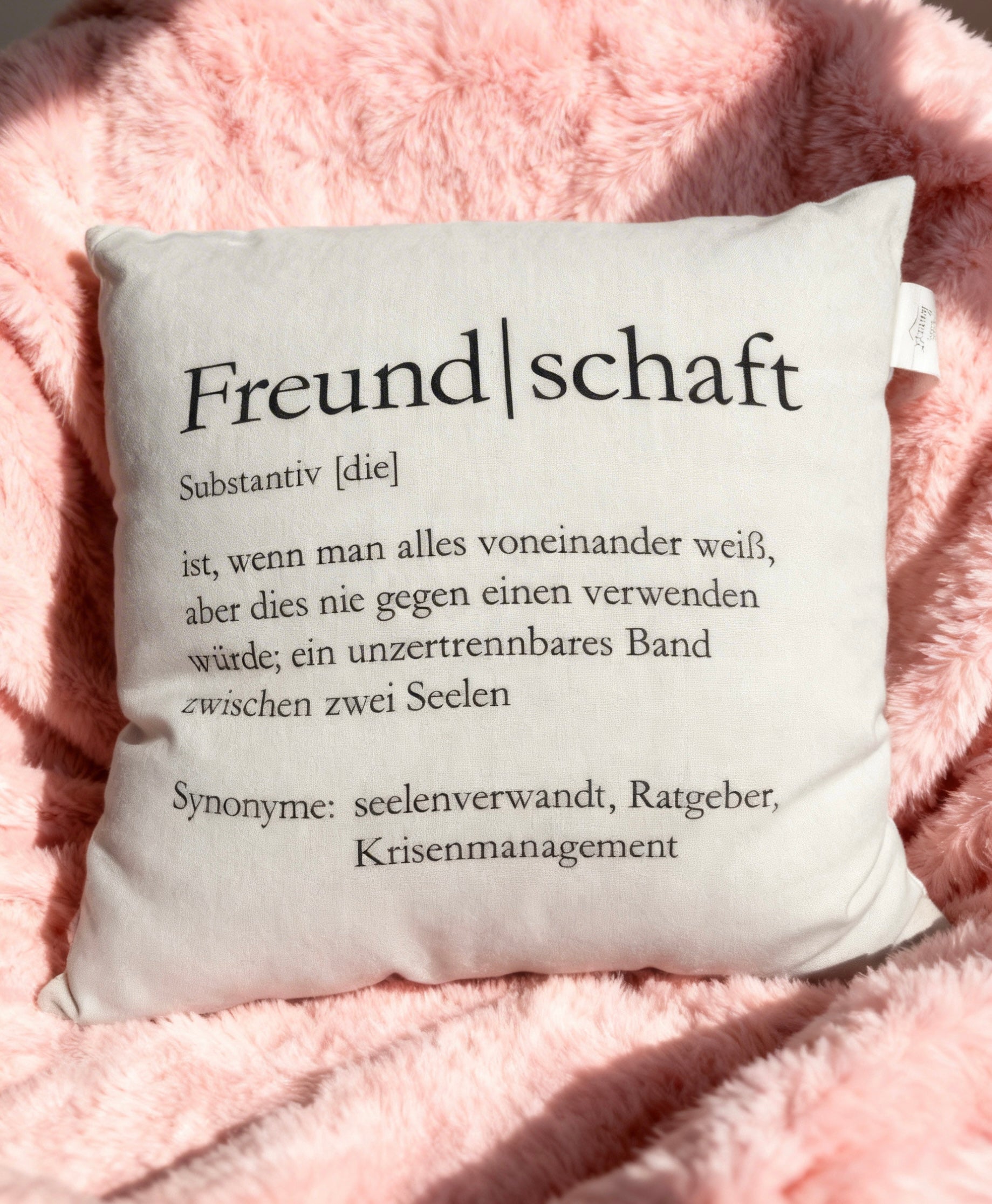 Dekokissen Freundschaft